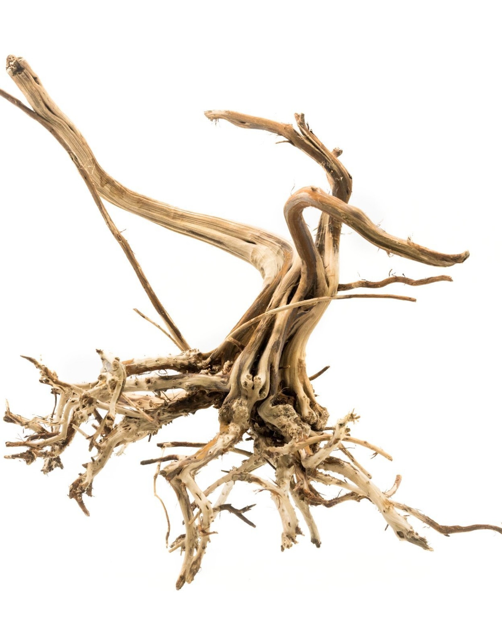 Roger's Aquatics ROGER'S AQUATIC Spider Wood