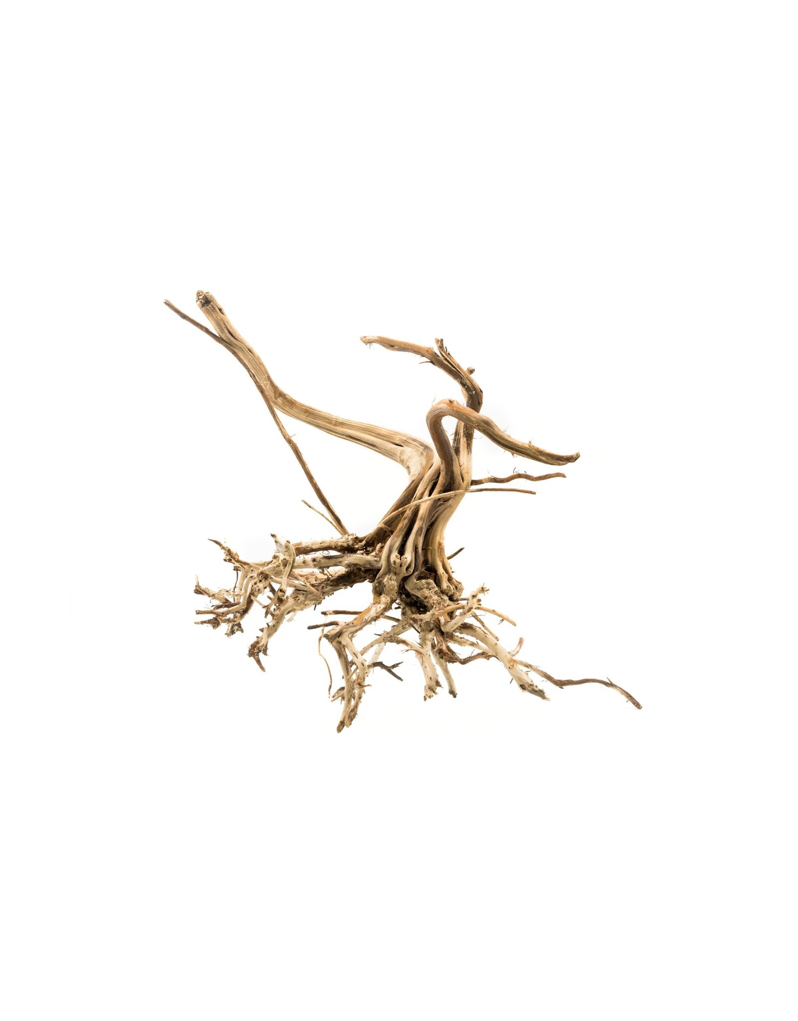 Roger's Aquatics ROGER'S AQUATIC Spider Wood