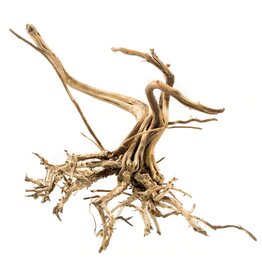 Roger's Aquatics ROGER'S AQUATIC Spider Wood