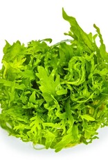 Tropica 1-2-GROW! Hygrophila Odora