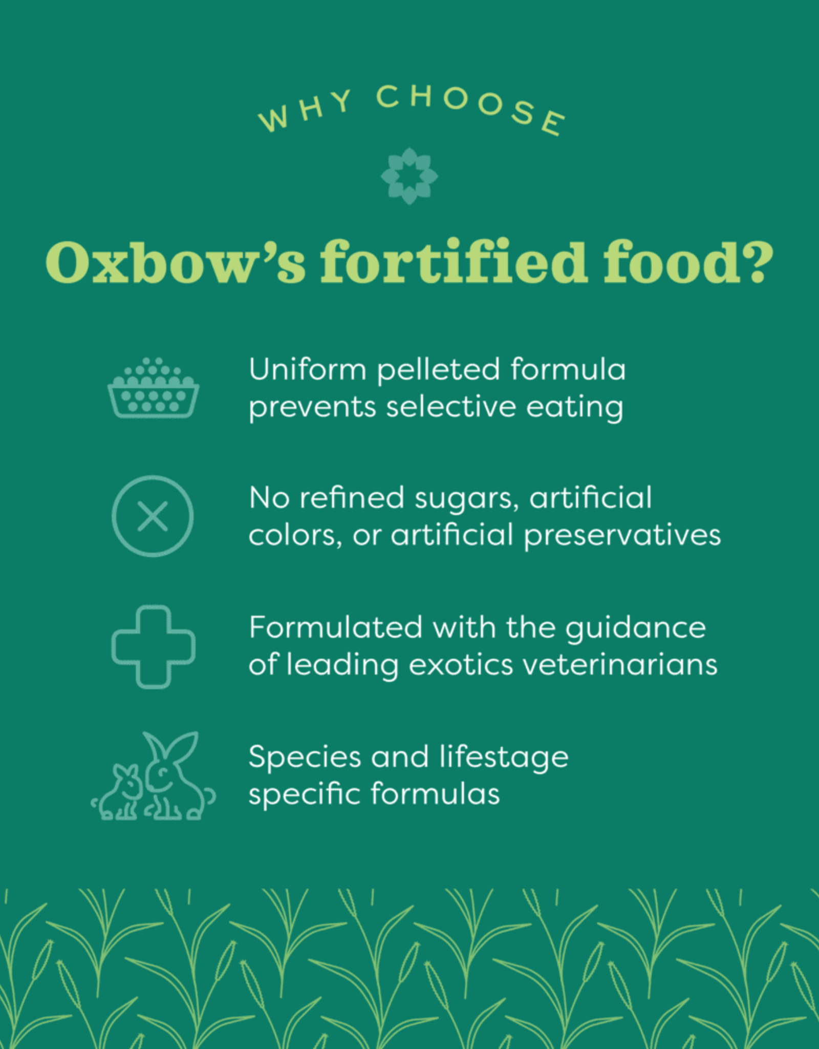 Oxbow OXBOW Essentials Young Guinea Pig 5LB