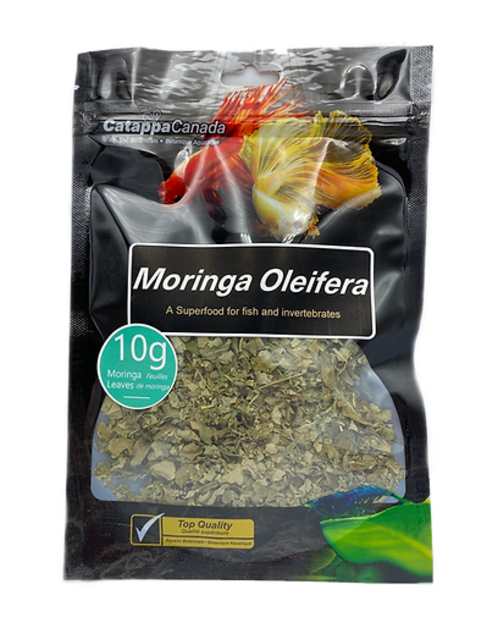 Catappa Canada CATAPPA Moringa Oleifera Leaves (Crumbled)