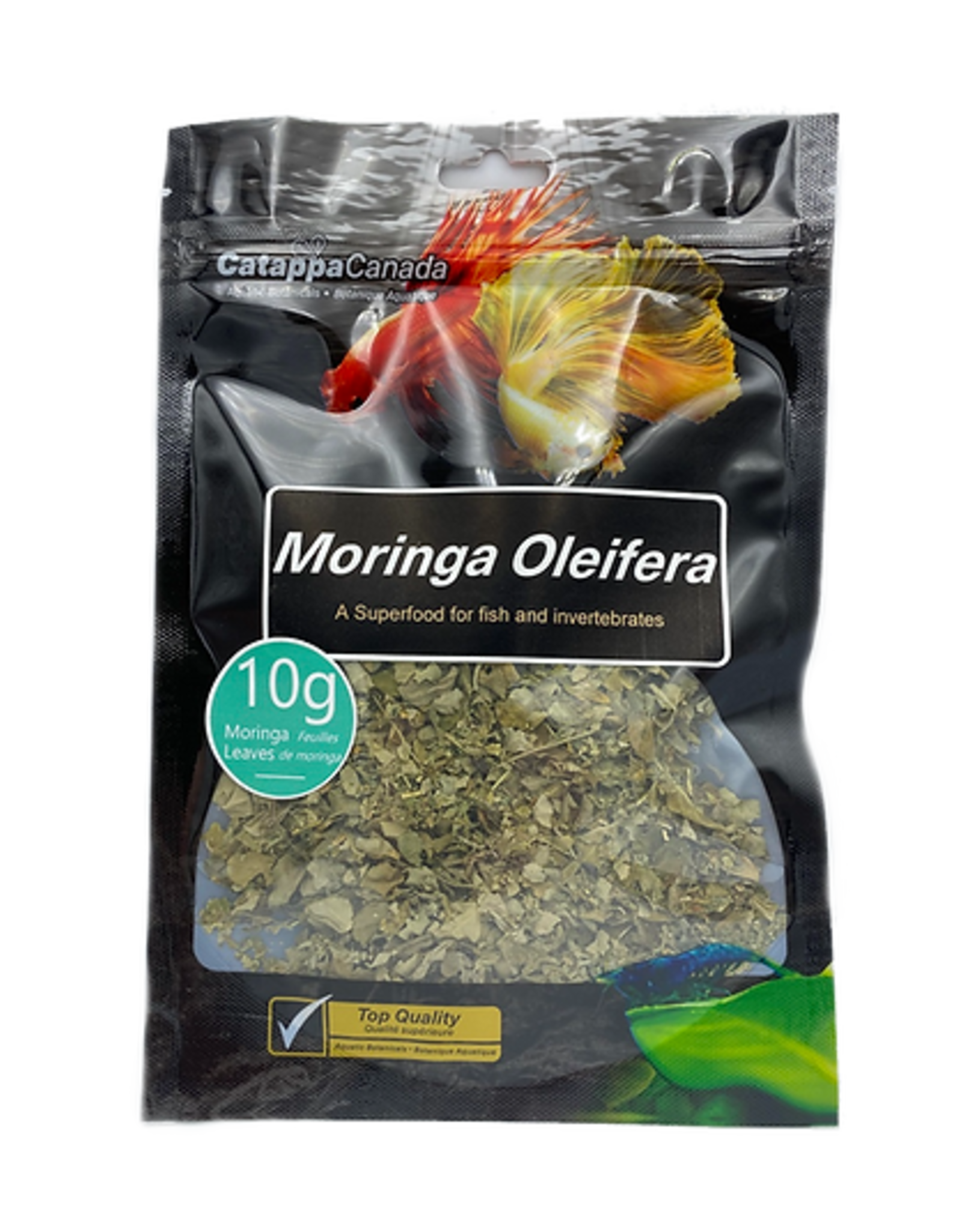 Catappa Canada CATAPPA Moringa Oleifera Leaves (Crumbled)