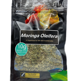 Catappa Canada CATAPPA Moringa Oleifera Leaves (Crumbled)