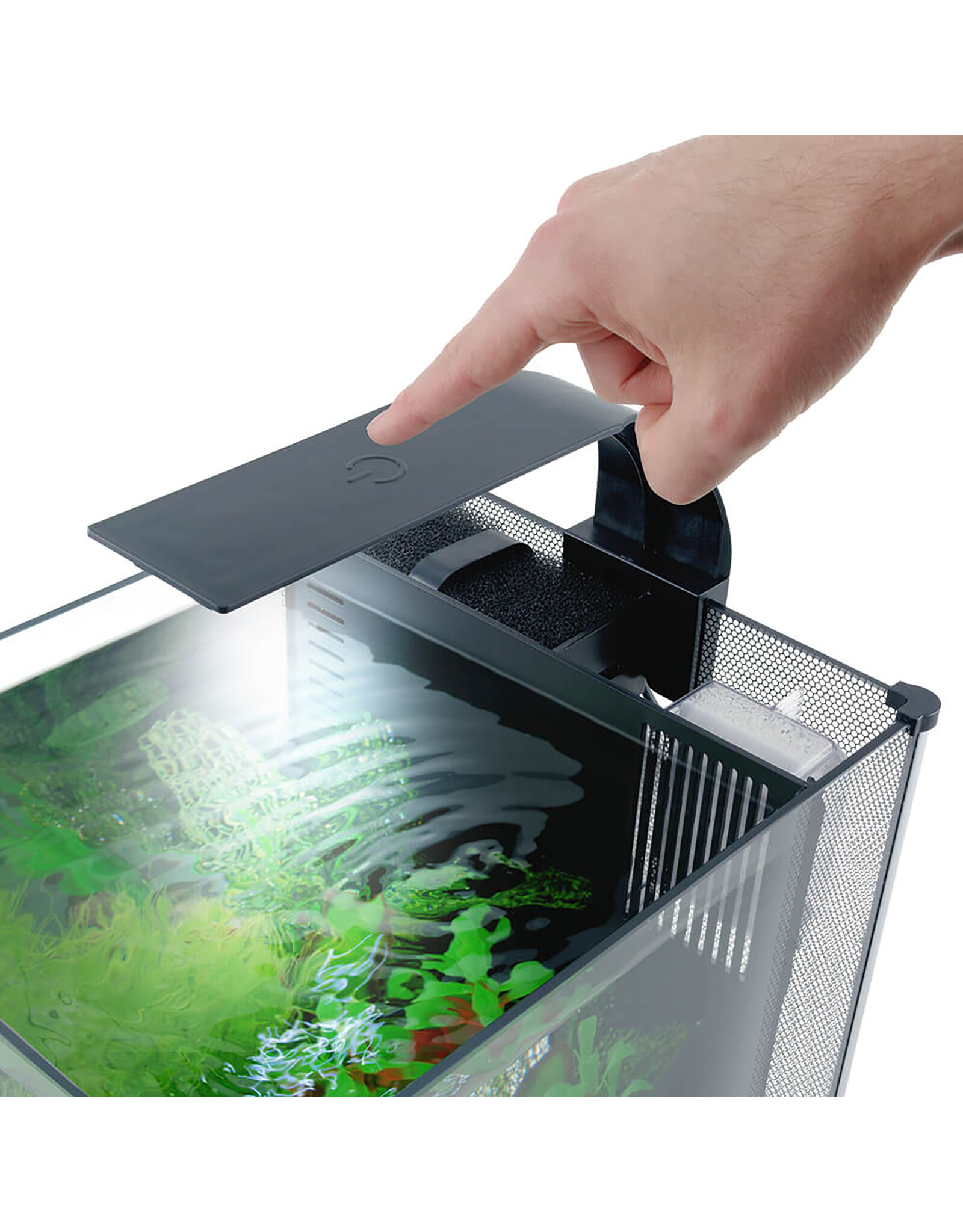 Fluval FLUVAL Betta Aquarium Kit 6 Gallon