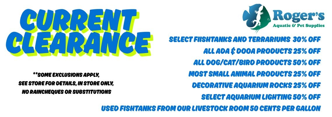 Current Clearance