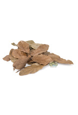 New Cal Pet NEWCAL Water Oak