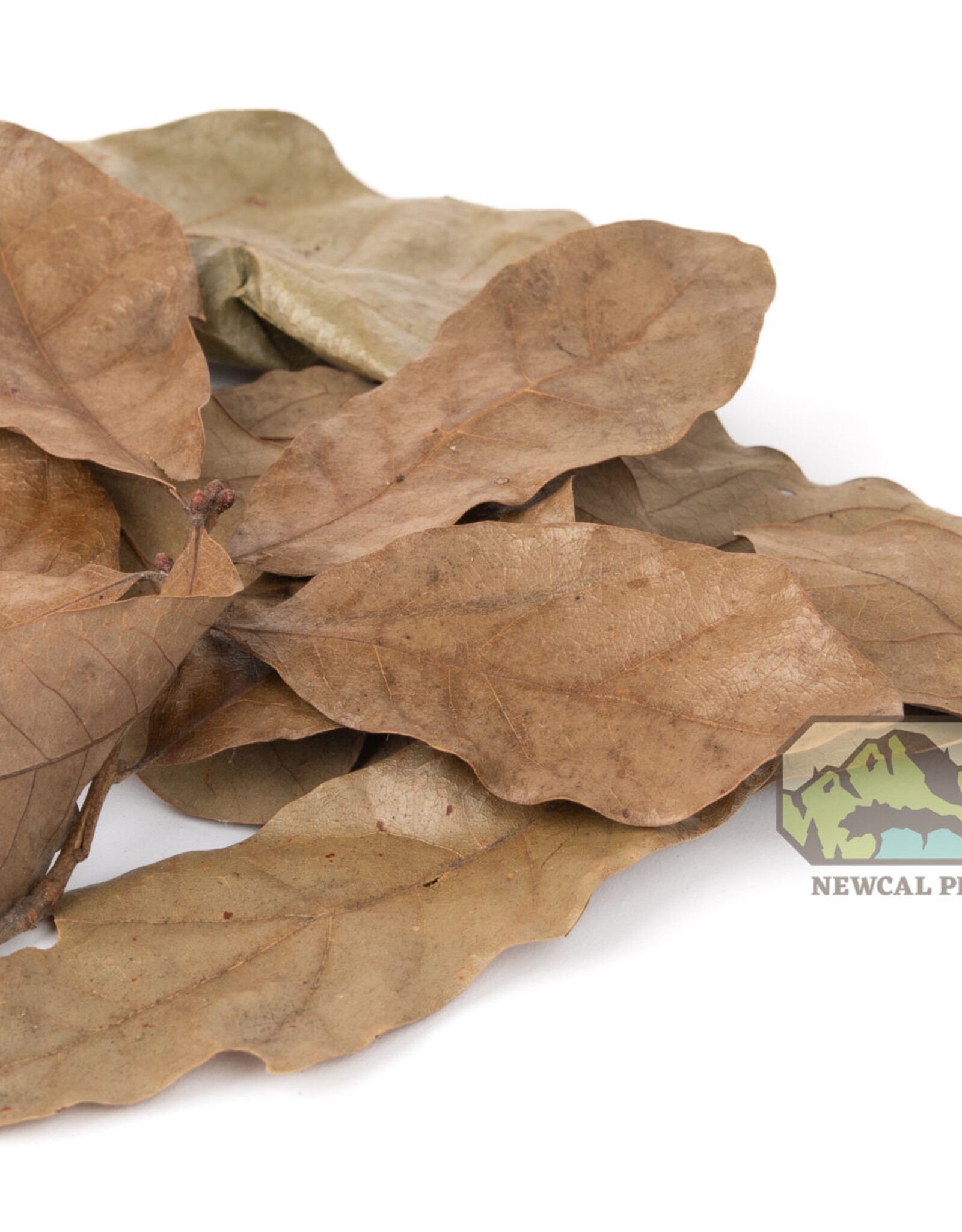 New Cal Pet NEWCAL Water Oak