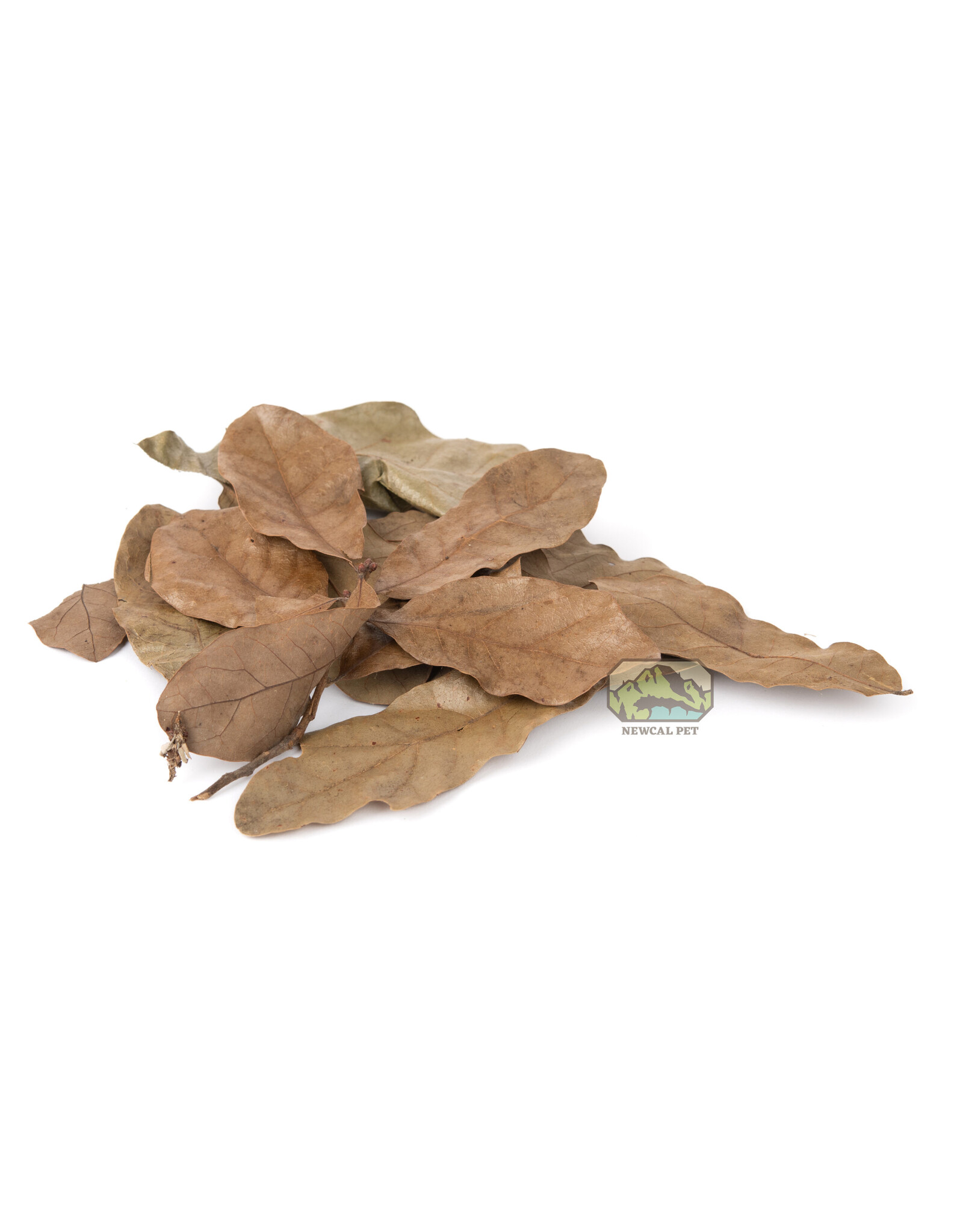 New Cal Pet NEWCAL Water Oak