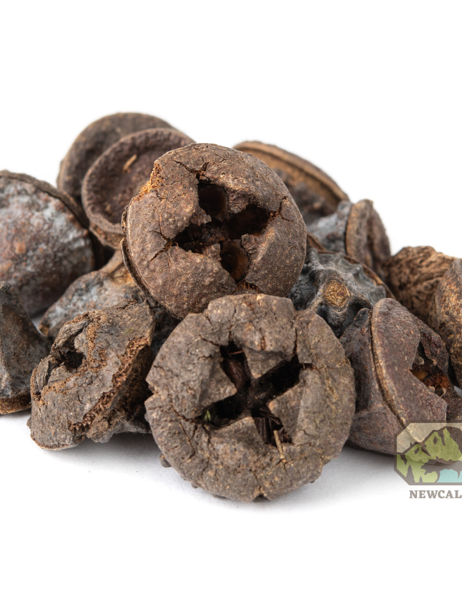 New Cal Pet NEWCAL Button Pods 1.5oz