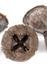 New Cal Pet NEWCAL Button Pods 1.5oz