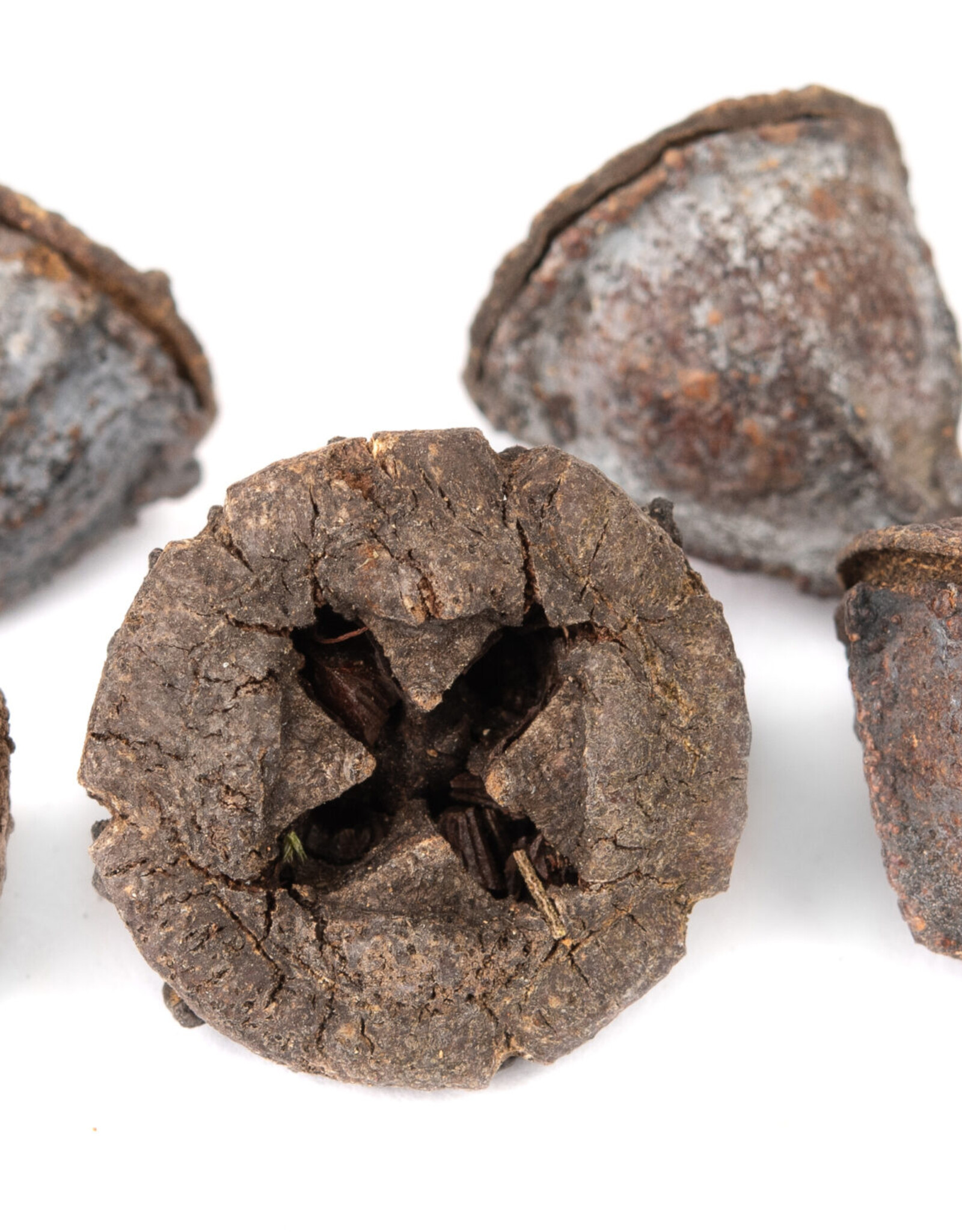 New Cal Pet NEWCAL Button Pods 1.5oz