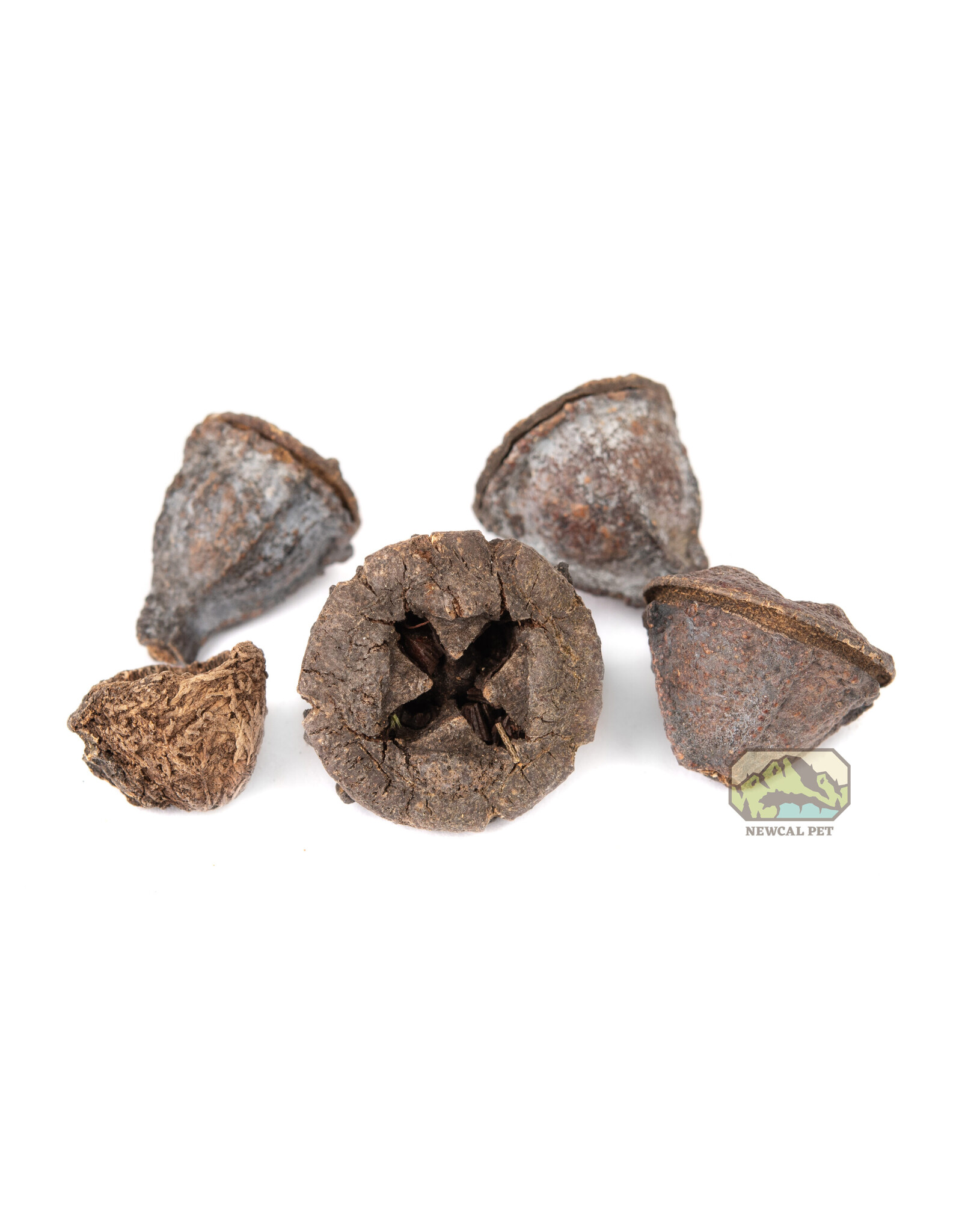 New Cal Pet NEWCAL Button Pods 1.5oz