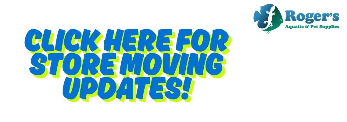MOVING UPDATES