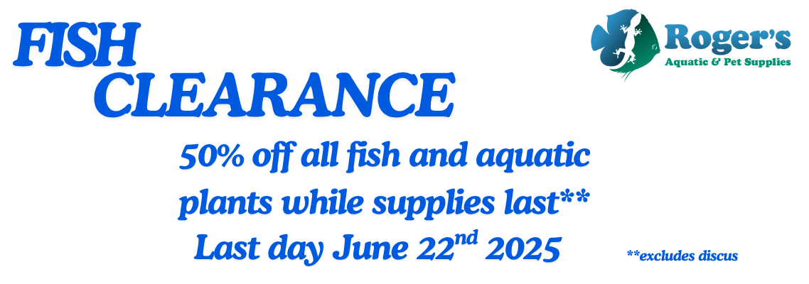 FISH CLEARANCE