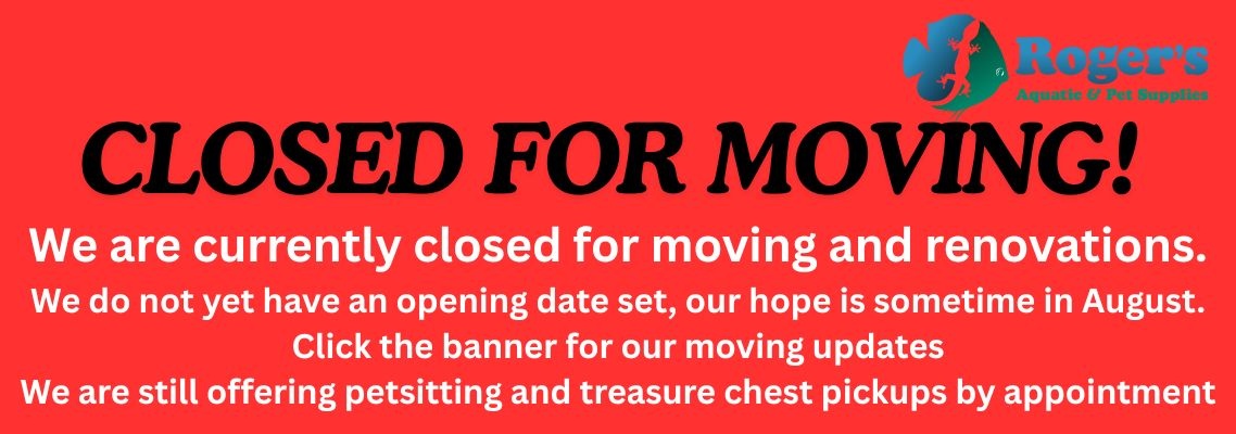 MOVING UPDATES