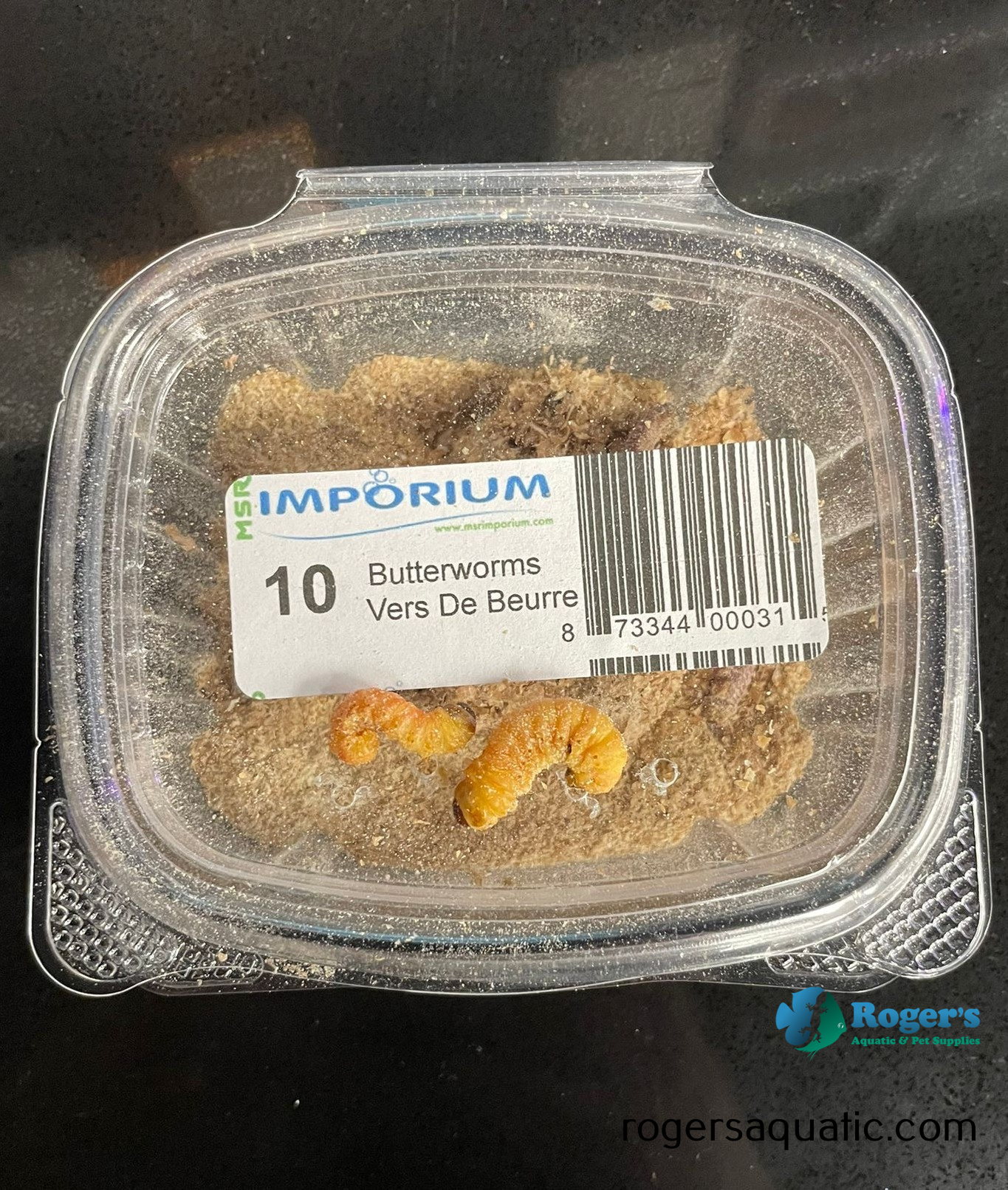 Butterworms - Roger's Aquatics & Pet Supplies