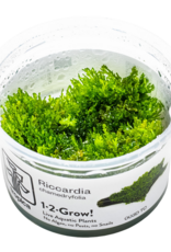 Tropica 1-2-GROW! Riccardia chamedryfolia
