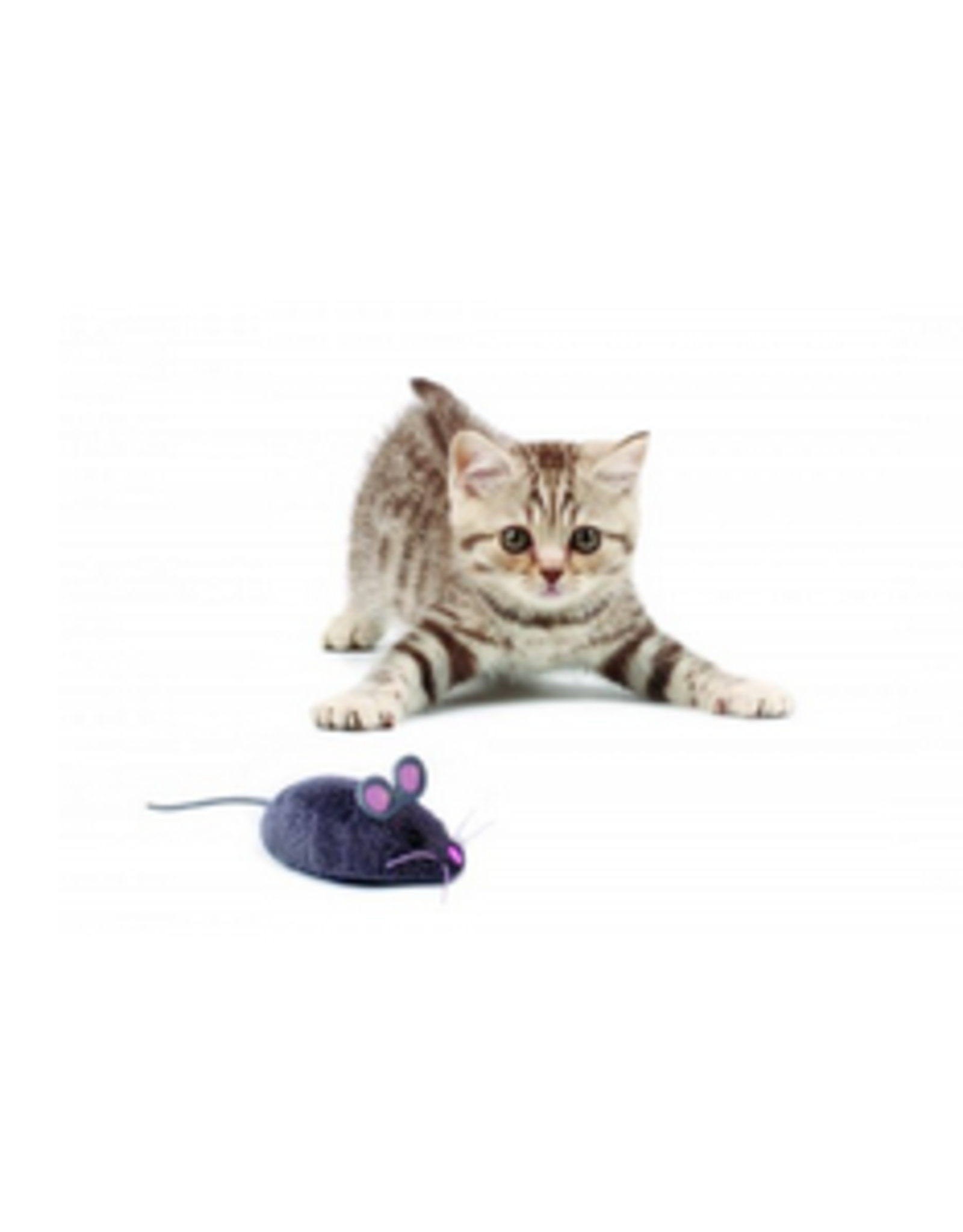 hexbug remote control mouse cat toy