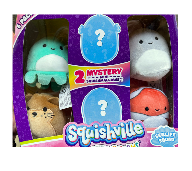 Squishville Mini Squishmallows - Mystery 6 Pack | Doylestown PA - Busy ...