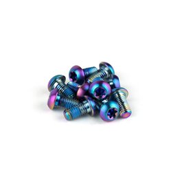 SRAM Rotor Bolt Kit - Titanium T25, Rainbow Bolts (Qty 12)