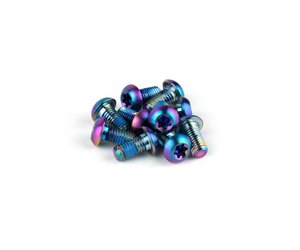 Rotor Bolt Kit - Titanium T25, Rainbow Bolts (Qty 12)