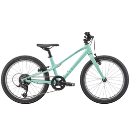 Specialized Jett 20 7-Speed Gloss Oasis / Forest Green
