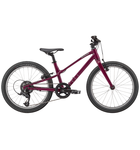 Specialized Jett 20 7-Speed Raspberry