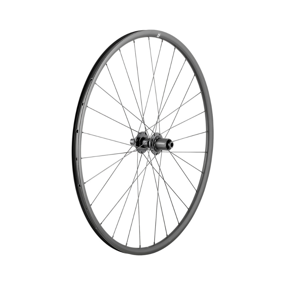 TLR Disc Centerlock 28H Wheel Rear 