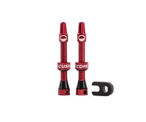 Tubeless Valves (Pair) Red 55mm