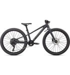 Specialized Riprock 24 Satin Cast Black / Smoke