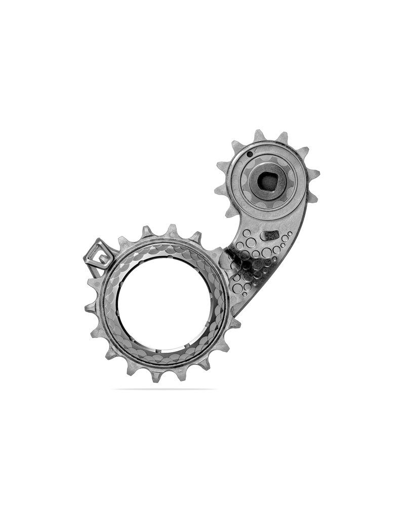 HOLLOWcage Ceramic Bearing - Carbon Derailleur Cage for SRAM AXS ...