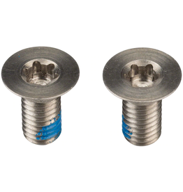 SRAM Caliper Assembly Mounting Hardware Stainless T25 5mm Flat Mount
