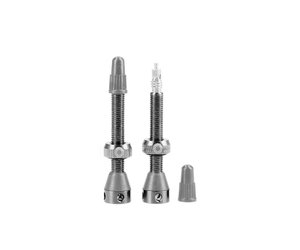 Tubeless Valve Pair Black