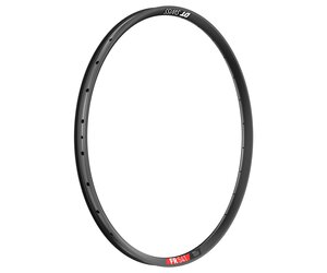 DT Rim FR541 29" (30 wide) 32 Hole