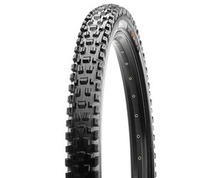 Assegai - 29 x 2.60 3C Terra EXO+ TR Folding 60 TPI