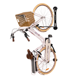 Steadyrack eBike Bike Rack