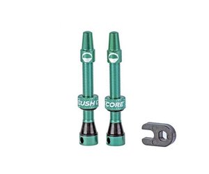Tubeless Valves (Pair) Turquoise 44mm