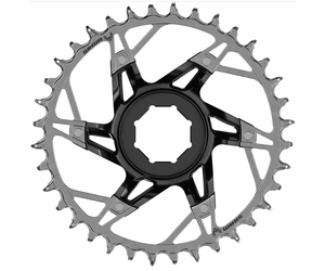 Chain Ring XX T-Type 34T Brose Direct Mount