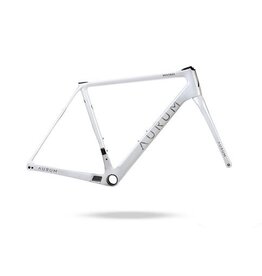 Aurum Bikes Magma Frameset Arctic White / Brush Decals