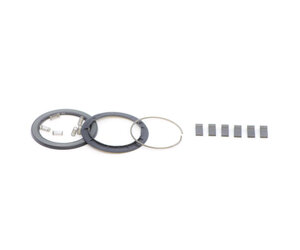 Spring and pawl Set for Zipp ZR1 Hubs / Freehub body