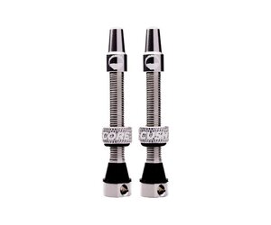Tubeless Valves (Pair) Silver 55mm