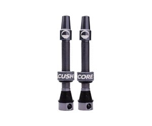 Tubeless Valves (Pair) Titanium 55mm