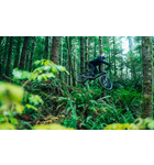 Transition Bicycle Co. Relay PNW Carbon XO T-Type AXS Oxide Grey