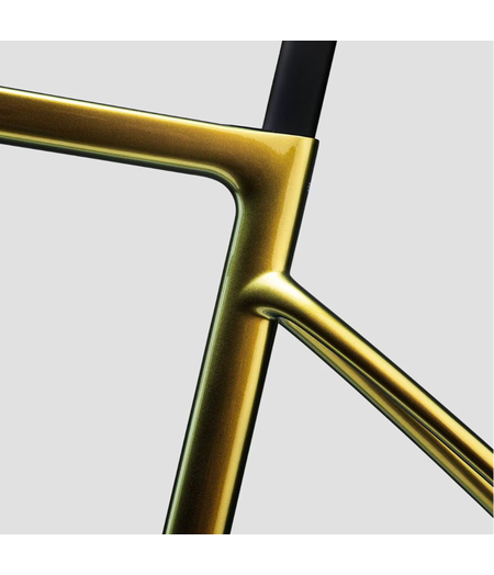 ENVE Fray Frameset Module Venom