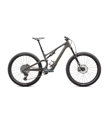 Specialized Stumpjumper 15 Expert Gloss Gunmetal / White Mountains