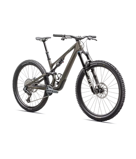 Specialized Stumpjumper 15 Expert Gloss Gunmetal / White Mountains