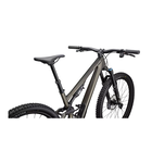 Specialized Stumpjumper 15 Expert Gloss Gunmetal / White Mountains