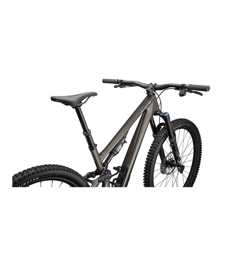 Specialized Stumpjumper 15 Expert Gloss Gunmetal / White Mountains