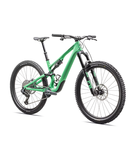 Specialized Stumpjumper 15 Expert Satin Electric Green / Satin Forest Green